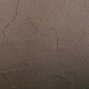 Meet your Posher, Shelton